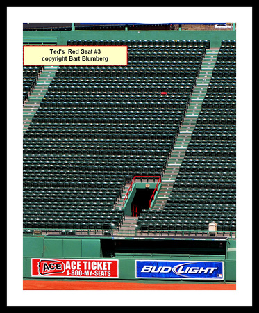 Fenway Park's Right Field Bleachers (For display only.)