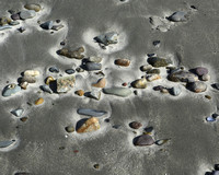 Windswept Beach Rocks