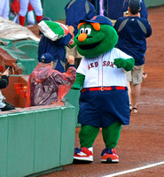 Wally the Green Monster, Fenway Park