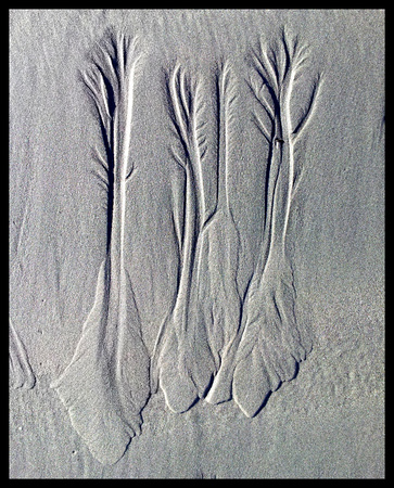 Beach Sand Threesome